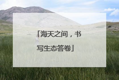 海天之间，书写生态答卷