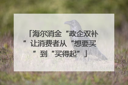 海尔消金“政企双补”让消费者从“想要买”到“买得起”
