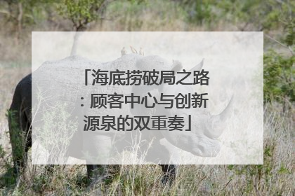 海底捞破局之路：顾客中心与创新源泉的双重奏