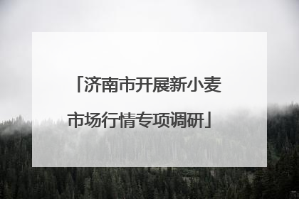 济南市开展新小麦市场行情专项调研