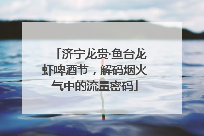 济宁龙贵·鱼台龙虾啤酒节，解码烟火气中的流量密码