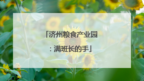 济州粮食产业园：满班长的手