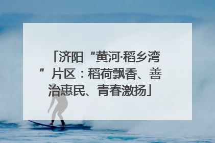 济阳“黄河·稻乡湾”片区：稻荷飘香、善治惠民、青春激扬