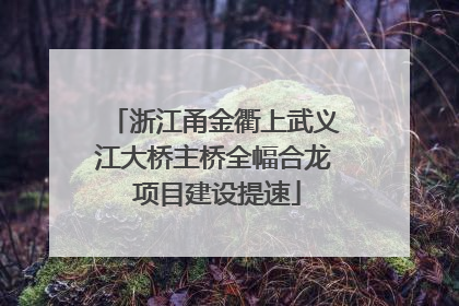 浙江甬金衢上武义江大桥主桥全幅合龙 项目建设提速