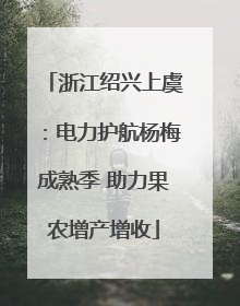 浙江绍兴上虞：电力护航杨梅成熟季 助力果农增产增收