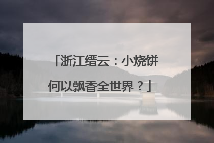 浙江缙云：小烧饼何以飘香全世界？