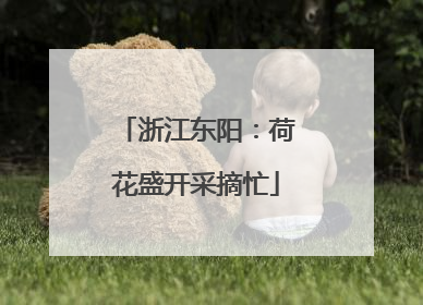 浙江东阳：荷花盛开采摘忙