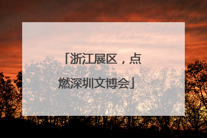 浙江展区，点燃深圳文博会
