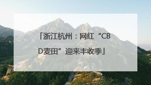 浙江杭州：网红“CBD麦田”迎来丰收季