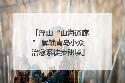 浮山“山海通廊” 解锁青岛小众治愈系徒步秘境