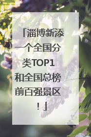 淄博新添一个全国分类TOP1和全国总榜前百强景区！
