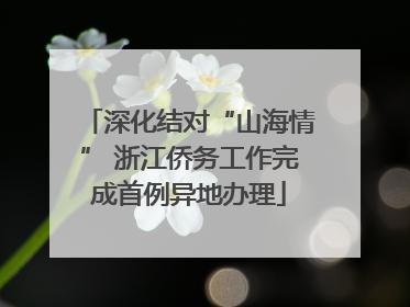深化结对“山海情” 浙江侨务工作完成首例异地办理
