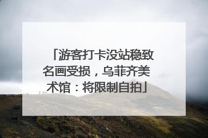 游客打卡没站稳致名画受损，乌菲齐美术馆：将限制自拍