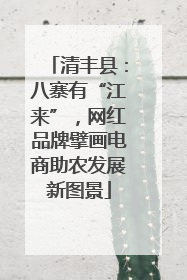 清丰县：八寨有“江来”，网红品牌擘画电商助农发展新图景