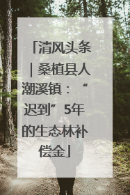 清风头条｜桑植县人潮溪镇：“迟到”5年的生态林补偿金