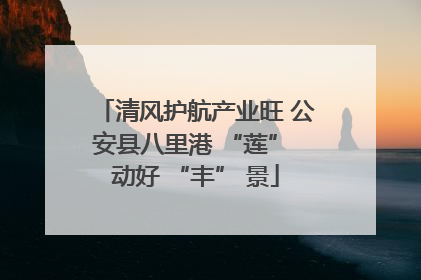 清风护航产业旺 公安县八里港 “莲” 动好 “丰” 景