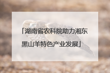 湖南省农科院助力湘东黑山羊特色产业发展