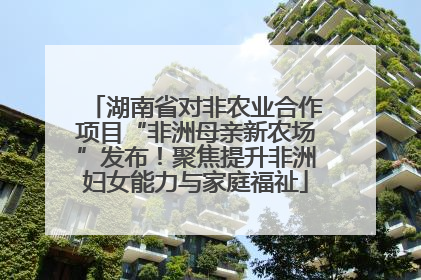 湖南省对非农业合作项目“非洲母亲新农场”发布！聚焦提升非洲妇女能力与家庭福祉
