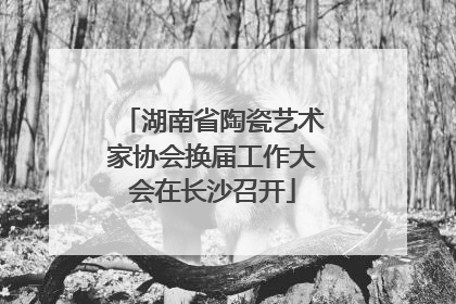 湖南省陶瓷艺术家协会换届工作大会在长沙召开