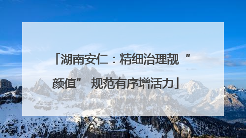 湖南安仁：精细治理靓“颜值” 规范有序增活力