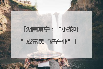 湖南常宁：“小茶叶”成富民“好产业”