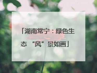 湖南常宁：绿色生态 “风”景如画
