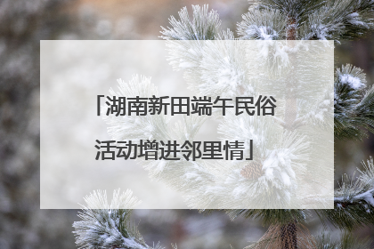 湖南新田端午民俗活动增进邻里情