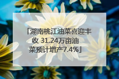 湖南桃江油菜喜迎丰收 31.24万亩油菜预计增产7.4%