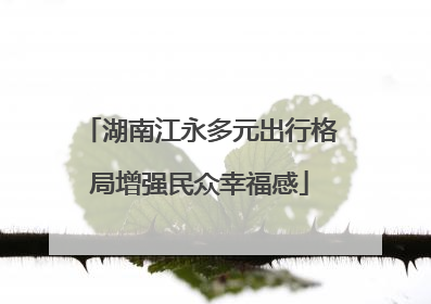 湖南江永多元出行格局增强民众幸福感