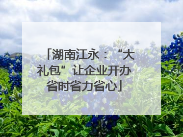 湖南江永：“大礼包”让企业开办省时省力省心