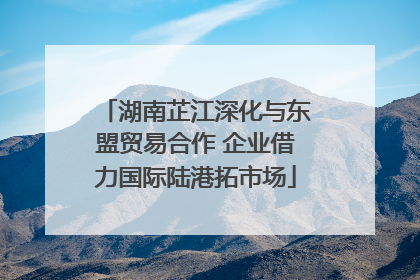 湖南芷江深化与东盟贸易合作 企业借力国际陆港拓市场