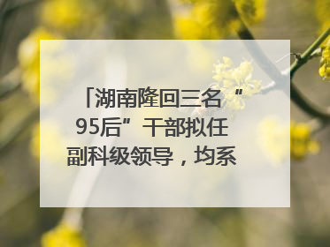 湖南隆回三名“95后”干部拟任副科级领导，均系硕士选调生