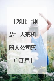 湖北“荆楚”人形机器人公司落户武昌
