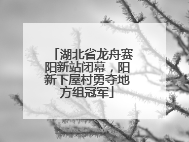 湖北省龙舟赛阳新站闭幕，阳新下屋村勇夺地方组冠军