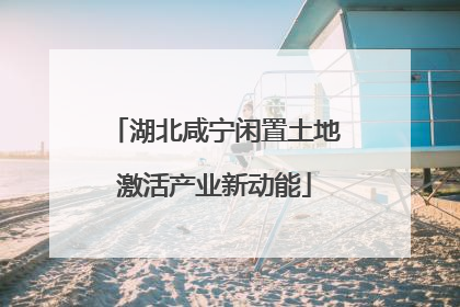 湖北咸宁闲置土地激活产业新动能