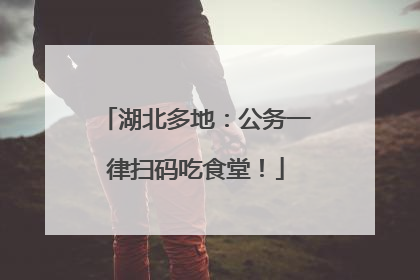 湖北多地：公务一律扫码吃食堂！