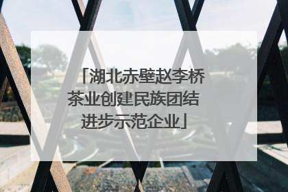 湖北赤壁赵李桥茶业创建民族团结进步示范企业