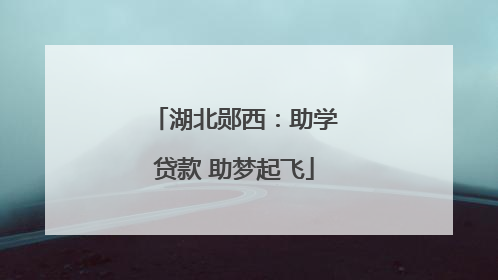 湖北郧西：助学贷款 助梦起飞