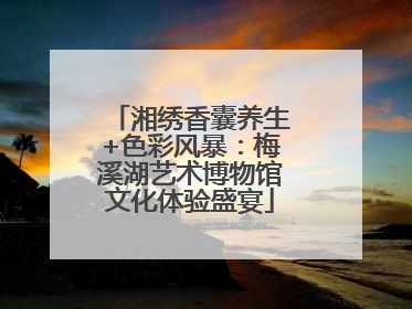 湘绣香囊养生+色彩风暴：梅溪湖艺术博物馆文化体验盛宴