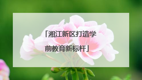 湘江新区打造学前教育新标杆