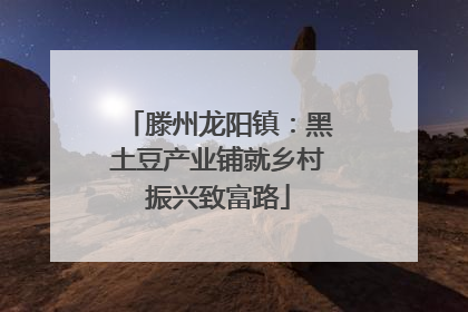 滕州龙阳镇：黑土豆产业铺就乡村振兴致富路