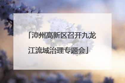 漳州高新区召开九龙江流域治理专题会