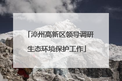 漳州高新区领导调研生态环境保护工作
