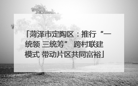 菏泽市定陶区：推行“一统领 三统筹” 跨村联建模式 带动片区共同富裕