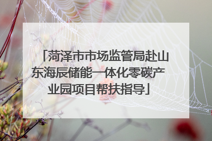 菏泽市市场监管局赴山东海辰储能一体化零碳产业园项目帮扶指导