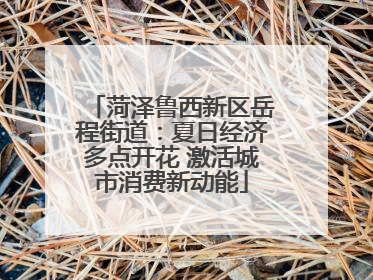 菏泽鲁西新区岳程街道：夏日经济多点开花 激活城市消费新动能