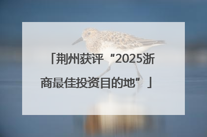 荆州获评“2025浙商最佳投资目的地”