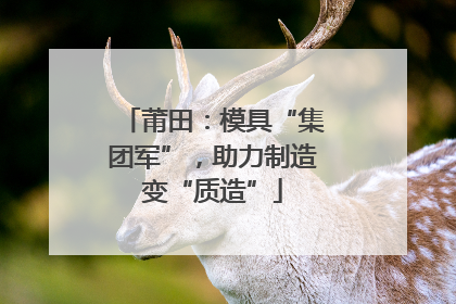 莆田：模具“集团军”，助力制造变“质造”