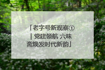 老字号新观察①｜党建领航 六味斋焕发时代新韵