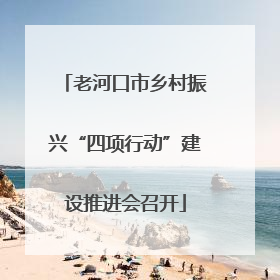 老河口市乡村振兴“四项行动”建设推进会召开